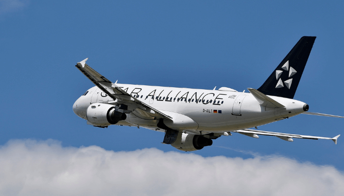 Star Alliance appoints The Secret Little Agency as global lead creative agency of record