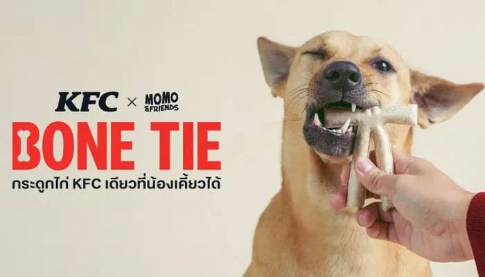 MARKETECH-PHOTOS-_2_