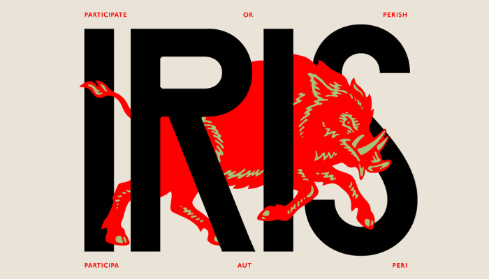 Iris asserts bold creativity, urges brands to stand out in new rebranding