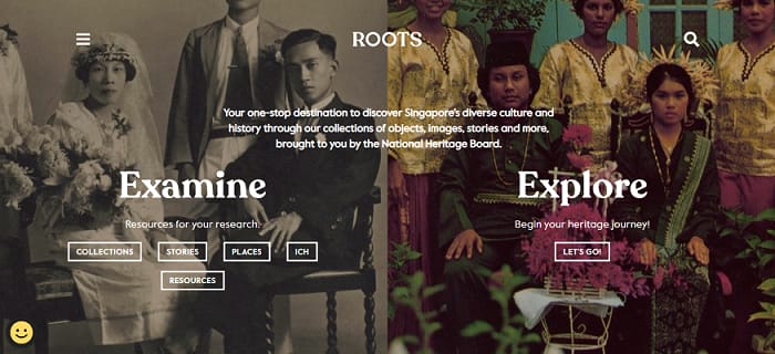 Roots_NHB_TSLA