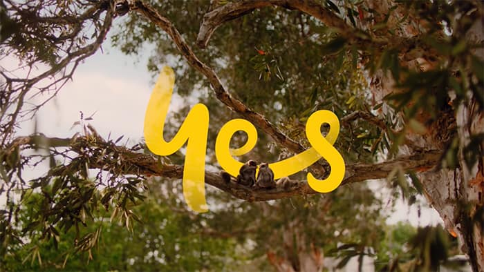Optus campaign