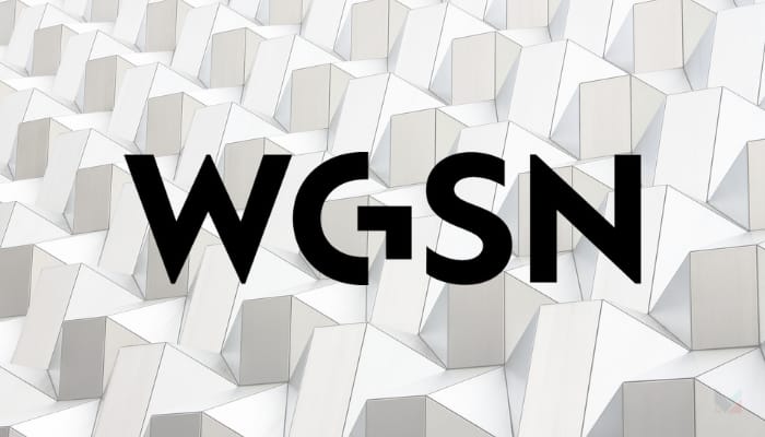 WGSN-Consumer-Tech-Vertical-Insights-Future