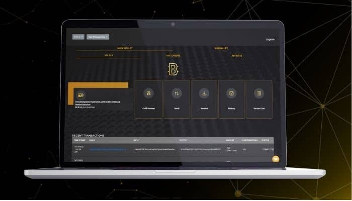 decentralized-autonomous-organization-blox-raises-us$12m-to-support-globalisation