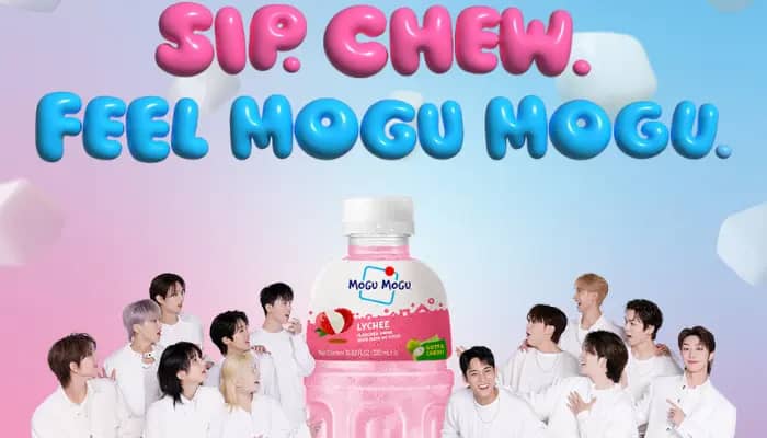 Mogu Mogu