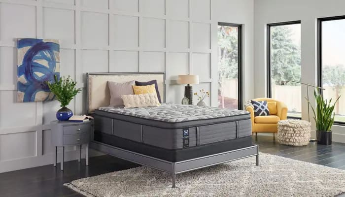 Sealy taps GO Communications for latest digital and social media campaign