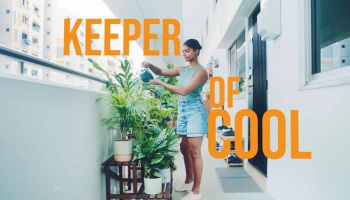 Senoko Energy taps DDB SG for ‘National Singlet Month’ to celebrate local energy savers