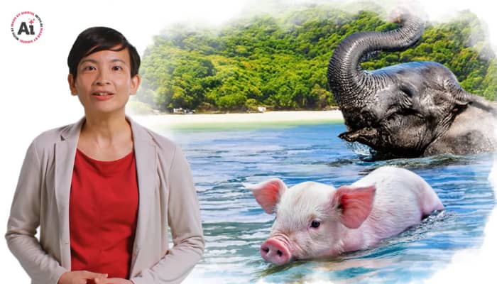 Singtel breaks language barriers in latest campaign commemorating SG60