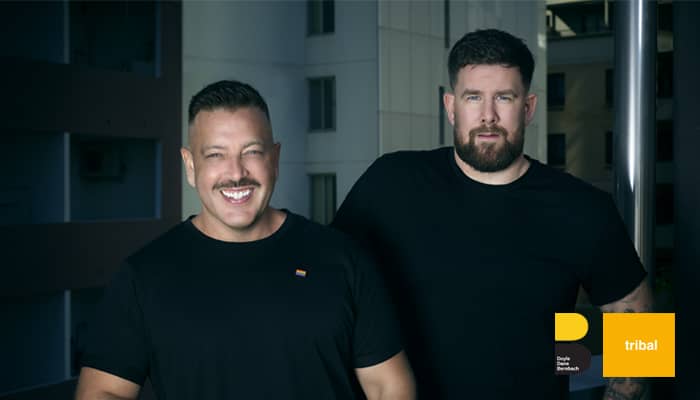 ddb group's tribal appointment of cso