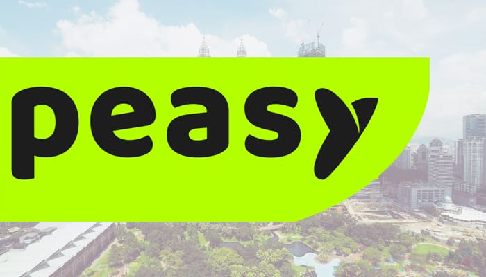 peasy.ai smes