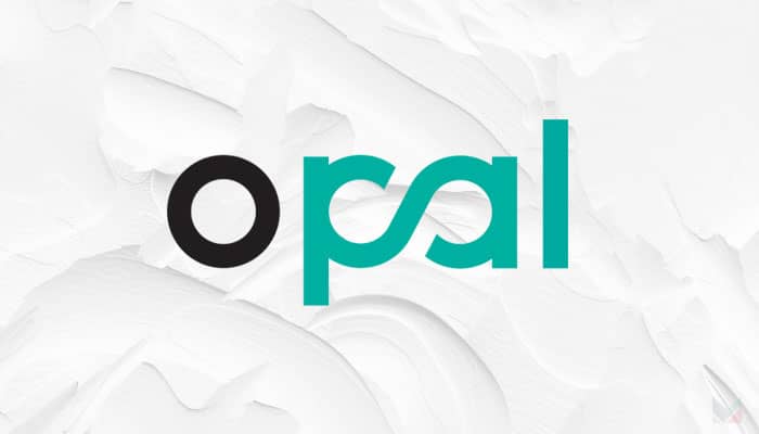 Opal's-Global-Digital-Business-Account