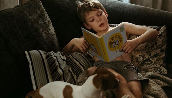 Pedigree-Dogphonics-with-Colenso-BBDO