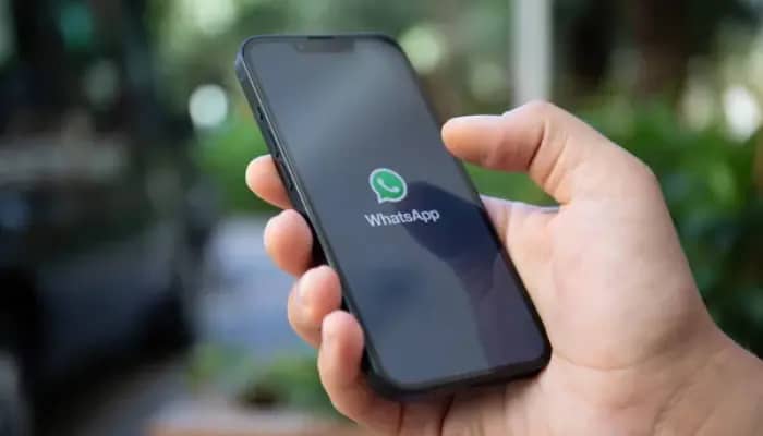 Singaporeans prefer WhatsApp as their social media platform of choice: report