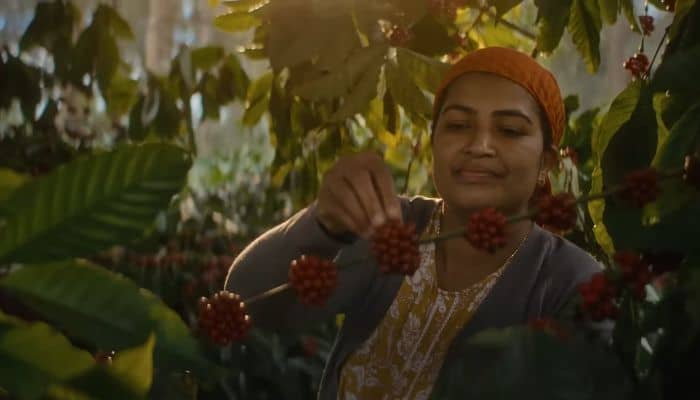 nescafe sunrise nestle india dentsu